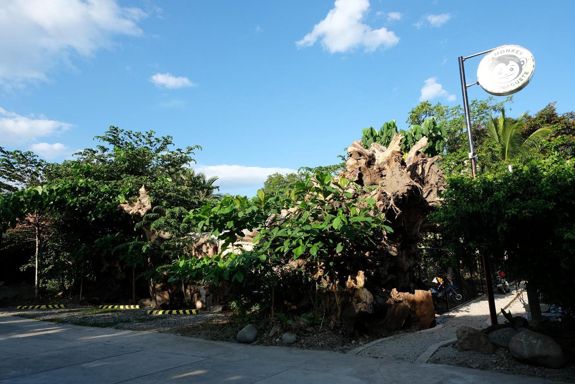 Hostel Mad Monkey Dumaguete Dumaguete City Exterior foto